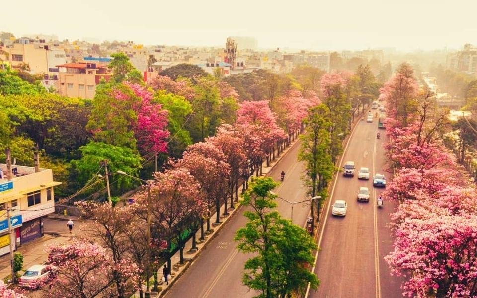 Jayanagar Jayanagar